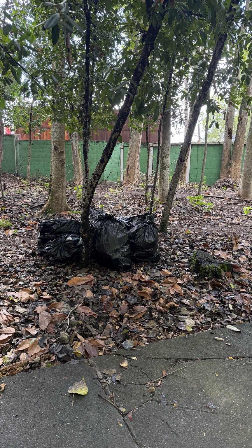 Fundación Te Quiero Verde RD realiza jornada de limpieza junto al Colegio La Altagracia.