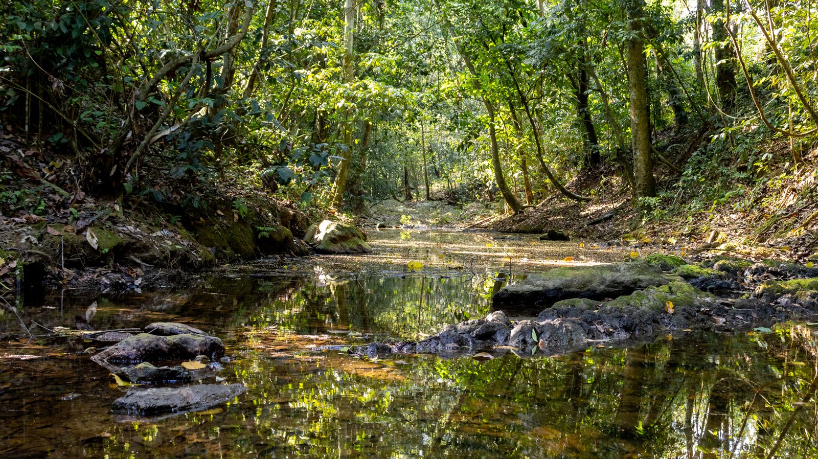 Historias que inspiran el ambiente