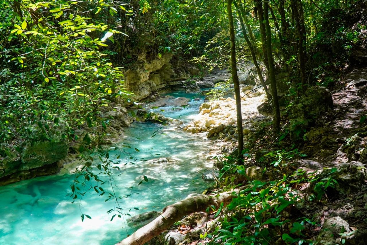 Medio Ambiente desmantela sistema de captación de agua no autorizado en Río Partido