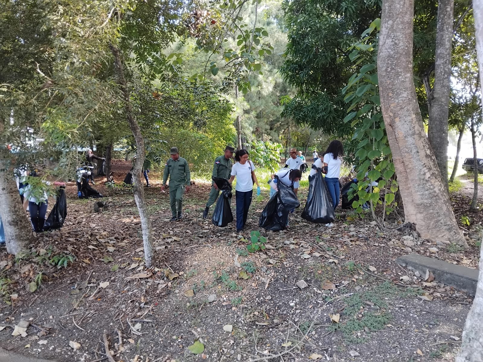 Reforestacion del rio Jaya